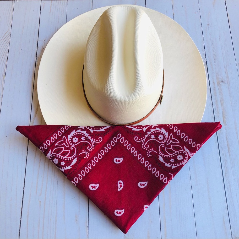 Classic Red Bandana